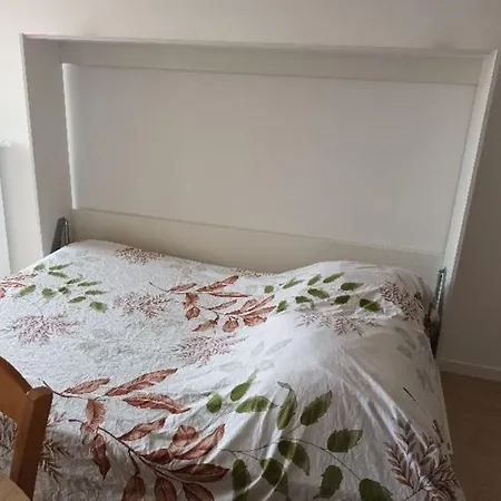 Avec Terrasse Apartament